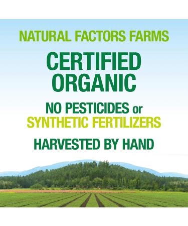 Natural Factors Super Mushroom Whole Food Supplement - 60 Vegan Capsules - Buy Online on GoSupps.com