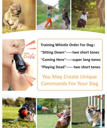 High-Frequency Todremou Dog Whistle & Clicker Set - R tter Dog Pipe Bracelet | International Shipping Available - Buy Online on GoSupps.com
