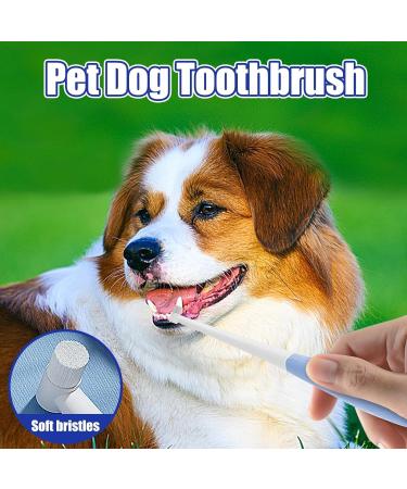 Ranley Tiny Dog Toothbrush | Dog Tooth Brush Cat Teeth Brush - Anti-Slip Handle Cat Tooth Care Brush Safe Pet Teeth Cleaning Kit for Puppy Kitten Cats and Small Breed Dogs - Buy Online on GoSupps.com
