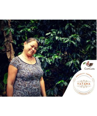 CofiCafe 6 Lbs Specialty Colombian Unroasted Green Coffee - Tatama Valle del Cauca (SCA 87) - Buy Online on GoSupps.com