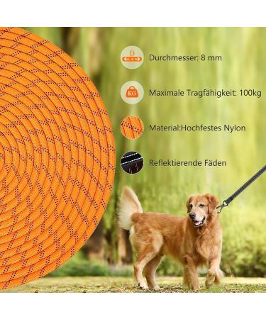 Buy Aystkniet 30m Bungee Tow Leash for Medium & Large Dogs - Shock-Absorbing Padded Handle Reflective Lockable Hooks - Perfect for International Shipping - Buy Online on GoSupps.com