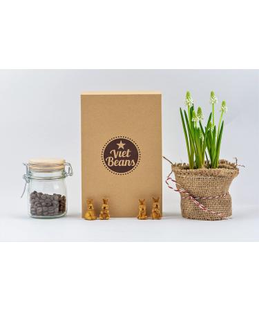 Vietbeans coffee beans try in gift box - four exciting types of coffee for coffee lovers - coffee gift set Whole beans - gift idea coffee - Try 4 x 80g - Buy Online on GoSupps.com