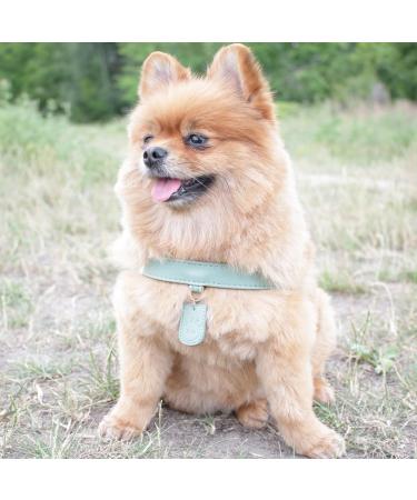 Muki & Co Adjustable Double Dog Dishes - Safe & Comfortable for Extra Small Small & Medium Dogs - Mint Green XS (44-50 cm) - Buy Online on GoSupps.com