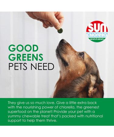 Sun Chlorella Rejuv-A-Wafers - Daily Superfood Supplement for Pets - Immune Defense & Gut Health Support - 60 Wafers - Buy Online on GoSupps.com