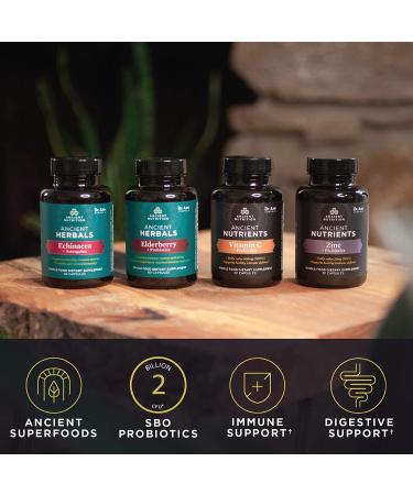 Ancient Nutrition Elderberry + Probiotics | Dr. Axe | 60 Capsules | Immune Support - Buy Online on GoSupps.com