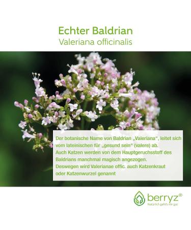 Buy High-Dose Valerian Root Tea | Baldriant 100g | Warm-Woody Taste | International Shipping - Buy Online on GoSupps.com