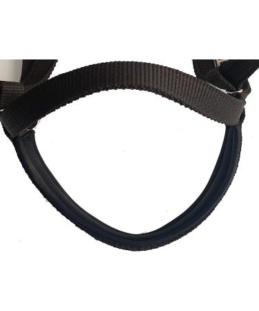 Majestic Ally Turquoise Nylon Padded Browband Headstall with Reins - Full Size - Buy Online on GoSupps.com