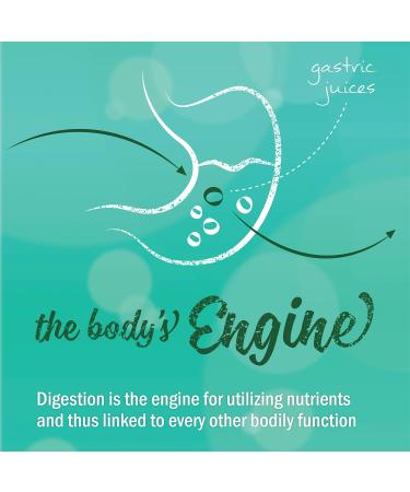 Herb Pharm Better Bitters Certified Organic Digestive Bitters Orange 1oz (2 Pack) - Natural Digestive Aid with Orange Flavor - Buy Online on GoSupps.com