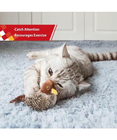 Gigwi Interactive Cat Toys: Squeaking Melody Chaser for Solo Play - Fun and Stimulating Kitten Toy for Boredom Birds - Buy Online on GoSupps.com