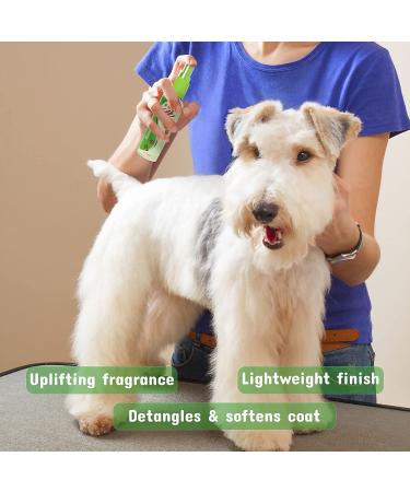 Pet Silk Rainforest Cologne 11.6 oz - Dog & Cat Deodorant Perfume Spray | Conditioning & Deodorizing | Clean & Fresh Fragrance | Grooming Perfume for Pets - Buy Online on GoSupps.com