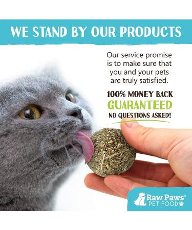 Raw Paws Compressed Catnip Ball Toy 6 Pack for Indoor Cats - All Natural Catnip Interactive Kicker Toy - Catnip Cat Toys for Kitties - Buy Online on GoSupps.com