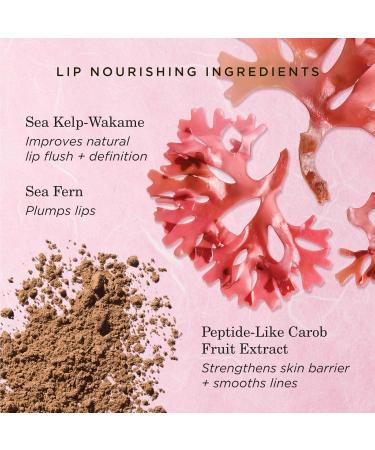 Tatcha Kissu Lip Treatment | Volume-Restoring Lip Serum for Plump Bouncy Lips - Shop Internationally - Buy Online on GoSupps.com