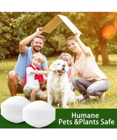 24 Pack Peppermint Oil Rodent Repellent for Cars, Campers, and Indoors - Mouse & Rat Deterrent for Garage - Pet Friendly - Buy Online on GoSupps.com