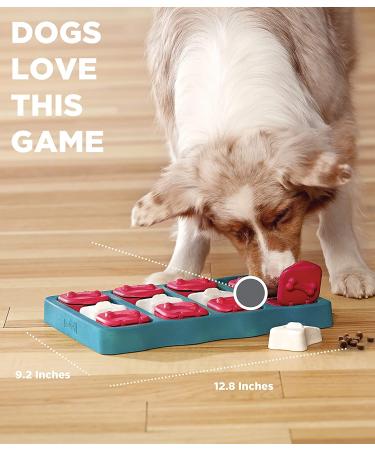 Nina Ottosson Interactive Treat Puzzle Game Dog Toy Level 2 - Teal/Red/White/Brown - Buy Online on GoSupps.com