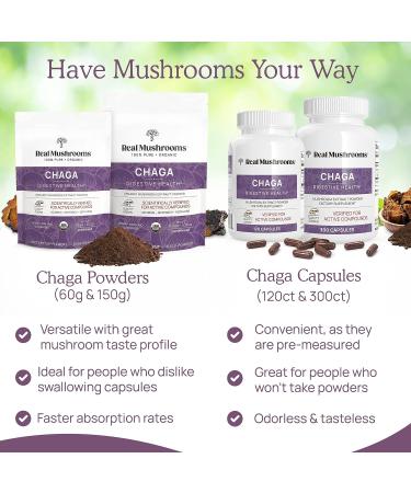 Organic Chaga Mushroom Powder Supplement for Digestion, Energy & Immune Support - 60 Servings, 60g - Vegan & Non-GMO - Buy Online on GoSupps.com