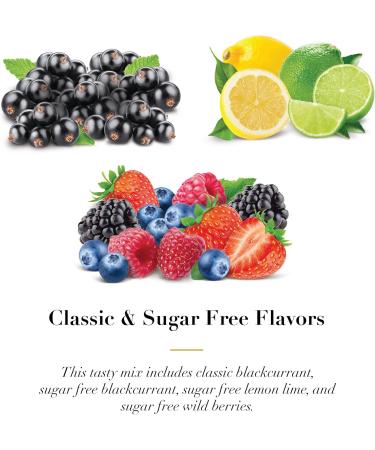 Dr. Doolittle s Soft Fruit Pastilles Sugar Variety Pack for Voice and Throat Blackcurrant Lemon Lime and Wild Berries 2.12 Ounce Tin approximately 25 Count Package 4 Pack - Buy Online on GoSupps.com