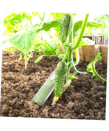 CAXUSD 4pcs Styling Stereotypes Accessories Growing Chocolate Pentagram Vessel and Growth Candy X - Buy Online on GoSupps.com