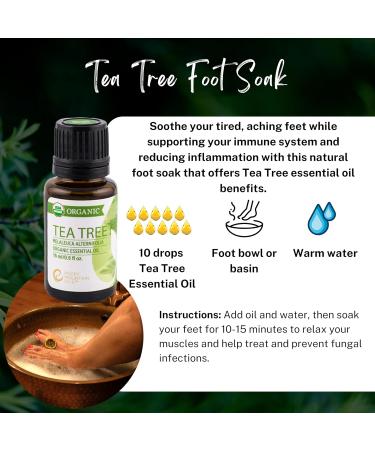 Rocky Mountain Oils Organic Tea Tree Essential Oil - 100% Pure & Natural Aromatherapy for Skin Hair & Diffuser - Therapeutic Grade USDA Approved - Buy Online on GoSupps.com