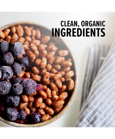 Organic Sprouted Brown Rice Cacao Crisps 10 oz - Pack of 6 | Non-GMO Chocolate Cereal | Gluten-Free USDA Certified - Buy Online on GoSupps.com