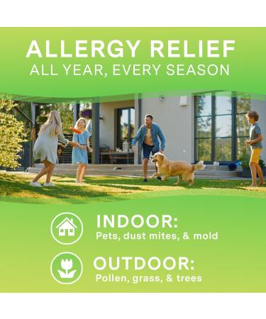 Curist Cetirizine Hydrochloride 10mg Tablet (365 Count) Effective Allergy Medicine with 24 Hour Relief of Runny Nose Sneezing Relief Itchy Throat Relief & Runny Eyes - Antihistamines for Adults - Buy Online on GoSupps.com