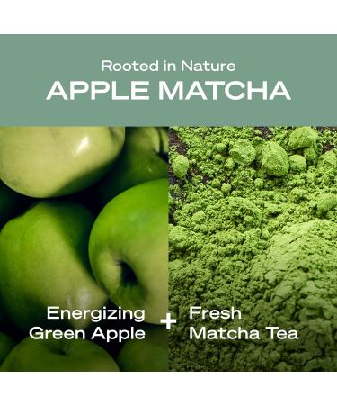 Apple Matcha Moisturizing Body Wash with Jojoba Oil | Vegan & Sulfate Free | 14 fl. oz. (Pack of 3) - Buy Online on GoSupps.com