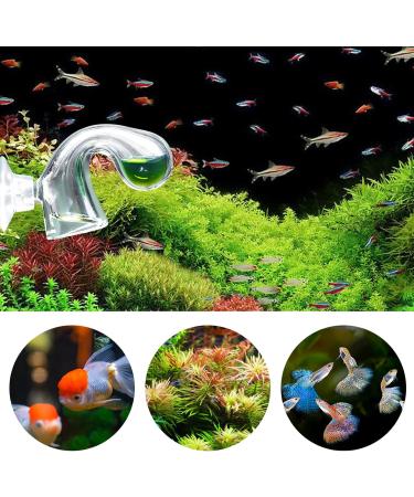 MITENING CO2 Permanent Test Aquarium Kit - 2 CO2 Drop Checkers for Freshwater Aquariums & Planters (6x3cm) - Long-Term Glass CO2 Testing Solution - Buy Online on GoSupps.com