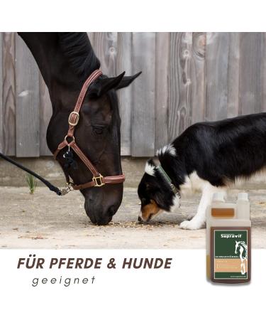 Supravit Black Cumin Oil for Horses & Dogs | 1000ml Cold Pressed Natural Oil | German Quality for Feeding Fur & Hoof Care - Buy Online on GoSupps.com