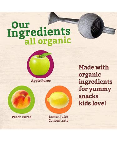 Peter Rabbit Organics Apple & Peach Fruit Snack Squeeze Pouch - 4oz (Pack of 10) - Buy Online on GoSupps.com