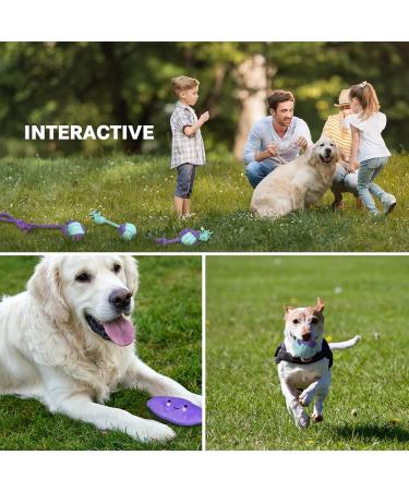 Buy Tavada Dog Toy Set 20 Natural Cotton Toys for Small & Medium Dogs | Perfect Puppy Care - Buy Online on GoSupps.com