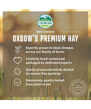 Oxbow Organic Meadow Hay for Rabbits, Guinea Pigs, Chinchillas & Hamsters 15oz - All-Natural Feed for Small Pets - Buy Online on GoSupps.com