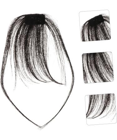 LALAFINA Bangs Wig Piece Human Hair Bangs Clip on Bangs Hairpieces Bangs Hair Clip Extension Fake Hair Bangs Mini Clips for Hair Woman Clip Hair Fringe Edge Hair Strands Women's One-piece 20x7cm Black - Buy Online on GoSupps.com