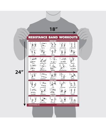 Palace Learning 3-Pack - Resistance Tapes & Bodyweight Exercises Poster Set | 18x24 Laminated Training Tables for Home Workouts - Buy Online on GoSupps.com