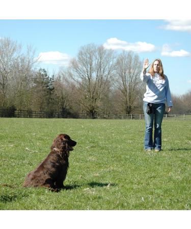 Company of Animals High Frequency Dog Whistle - Adjustable & Easy to Use for Training - Ideal for Sensitive Dogs - Recall & Puppy Training - Buy Online on GoSupps.com