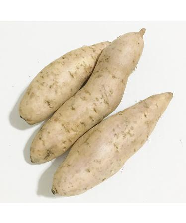 Fresh Purple Sweet Potatoes-2LBS - Buy Online on GoSupps.com