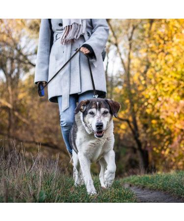 Beaface Retractable Dog Lead for Small Medium Dogs Up to 20KG Retractable Dog Leads 16ft/5M Extendable Dog Leads with Anti-Slip Handle Anti-Tangled Strong Nylon Tape (Blue) - Buy Online on GoSupps.com