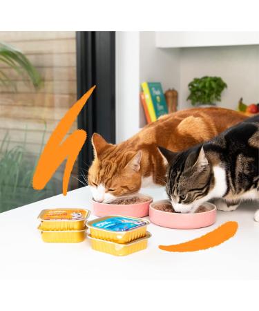 Buy Edgard & Cooper Grain-Free Wet Cat Food - Salmon & Chicken 85g (16 Pack) | Natural Tasty & Balanced Nutrition for Adult Cats - International Shipping Available - Buy Online on GoSupps.com