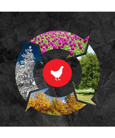 Ma Poule Express All Season Wild Bird Food Blend - Premium Canadian Supplier for Bird Seeds 3.18KG Bag - Buy Online on GoSupps.com