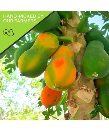 Sun Dried Papaya Chunks with Sugar (32oz) - Sweet Dehydrated Fruit Snack - All Natural, Vegan, Kosher - Fresh & Healthy Treat - Buy Online on GoSupps.com