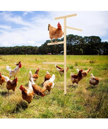 Buy Generic Boden Chicken Rod - Outdoor Poultry Stand & Enrichment Toy for Chickens Parrots & Nymphensitties | Perfect for Playgrounds - Buy Online on GoSupps.com