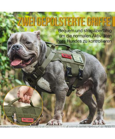 Oneigris No-Pull Dog Harness - Ultra Breathable Adjustable Safety Vest for Large/Medium Dogs with 2 Handles - Green M (Neck: 40-58cm Breast: 60-81cm) - Buy Online on GoSupps.com
