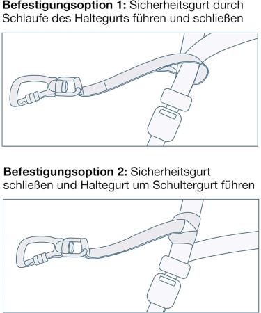 KURGO Dog Safety Belt for Car Journeys - 25cm with Rotatable Carabiner Clip - Red Single Pack - Buy Online on GoSupps.com