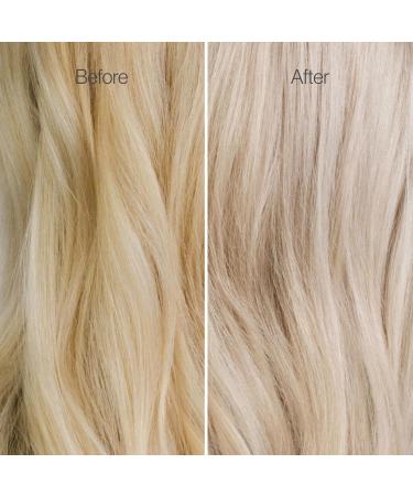 Freewill Blonde Preserve Shampoo - Best Purple Shampoo for Blonde Hair Care Neutralizes Brassiness & Enhances Shine | 8.5 oz - Buy Online on GoSupps.com