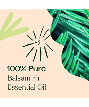 Buy Plant Therapy Balsam Fir Essential Oil 30 mL - 100% Pure Undiluted Therapeutic Grade for International Shipping - Buy Online on GoSupps.com