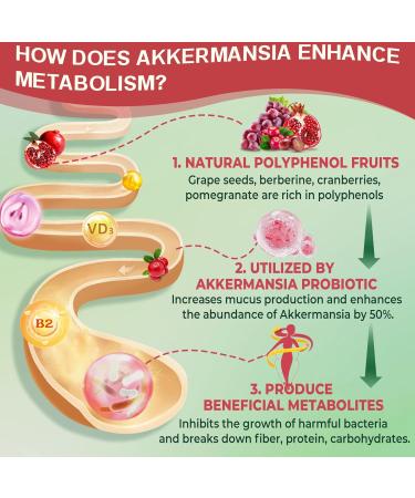 Nextdia Bundle: Akkermansia Probiotics Gummies with Prebiotics Fiber & Calcium + D3 & Magnesium Filled Gummies for Kids 4+ - Buy Online on GoSupps.com