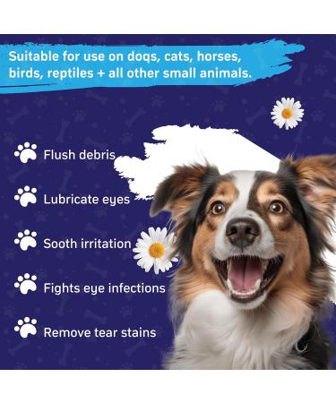 Veksun Eye Wash for Dogs and Cats - Gentle Formula Remove Dirt Debris and Tear Stains - Natural 200 ML - Buy Online on GoSupps.com
