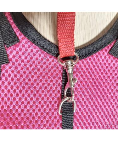 CHIPKART Small Pet Harness No Pulling Comfort Vest Guinea Pig Harness and Leash Set for Ferret Rats Bunny Hamster(L) - Buy Online on GoSupps.com