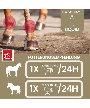 Buy Emma MSM Horse Joint Liquid 1L - High-Dose MSM Glucosamine & Chondroitin for Healthy Joints & Movement | International Shipping Available - Buy Online on GoSupps.com