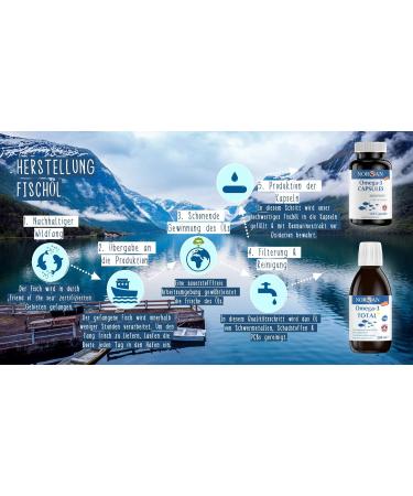 Norsan Premium Omega 3 Fish Oil - High Dose 2000mg EPA & DHA Lemon Flavor 6 Pack (6x200ml) | Omega 3 with 800 IE Vitamin D3 - Buy Online Internationally - Buy Online on GoSupps.com