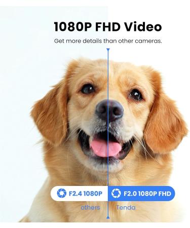 1080P Pet Camera with Night Vision, 2-Way Audio, Motion Detection | WiFi Indoor Security Camera with Smart Tracking & Alexa Compatibility - Buy Online on GoSupps.com