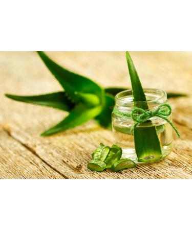  TASTY POTT Tasty Pott Organic Aloe Vera Direct Juice | Aloverose | Natural Dead Plant Juice | Vegan Nutrition | Vitamin Rich | Fruit Juice | In a 1000ml Glass Bottle (3 - Buy Online on GoSupps.com